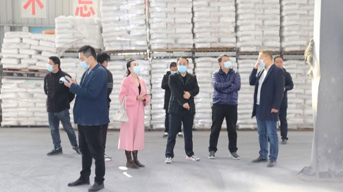 新蒲建設(shè)集團(tuán)領(lǐng)導(dǎo)參觀考察新潔源